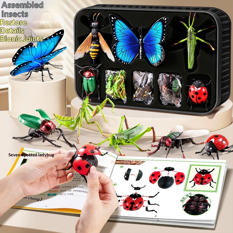 4D Assembled Educational Animal Toy Butterfly