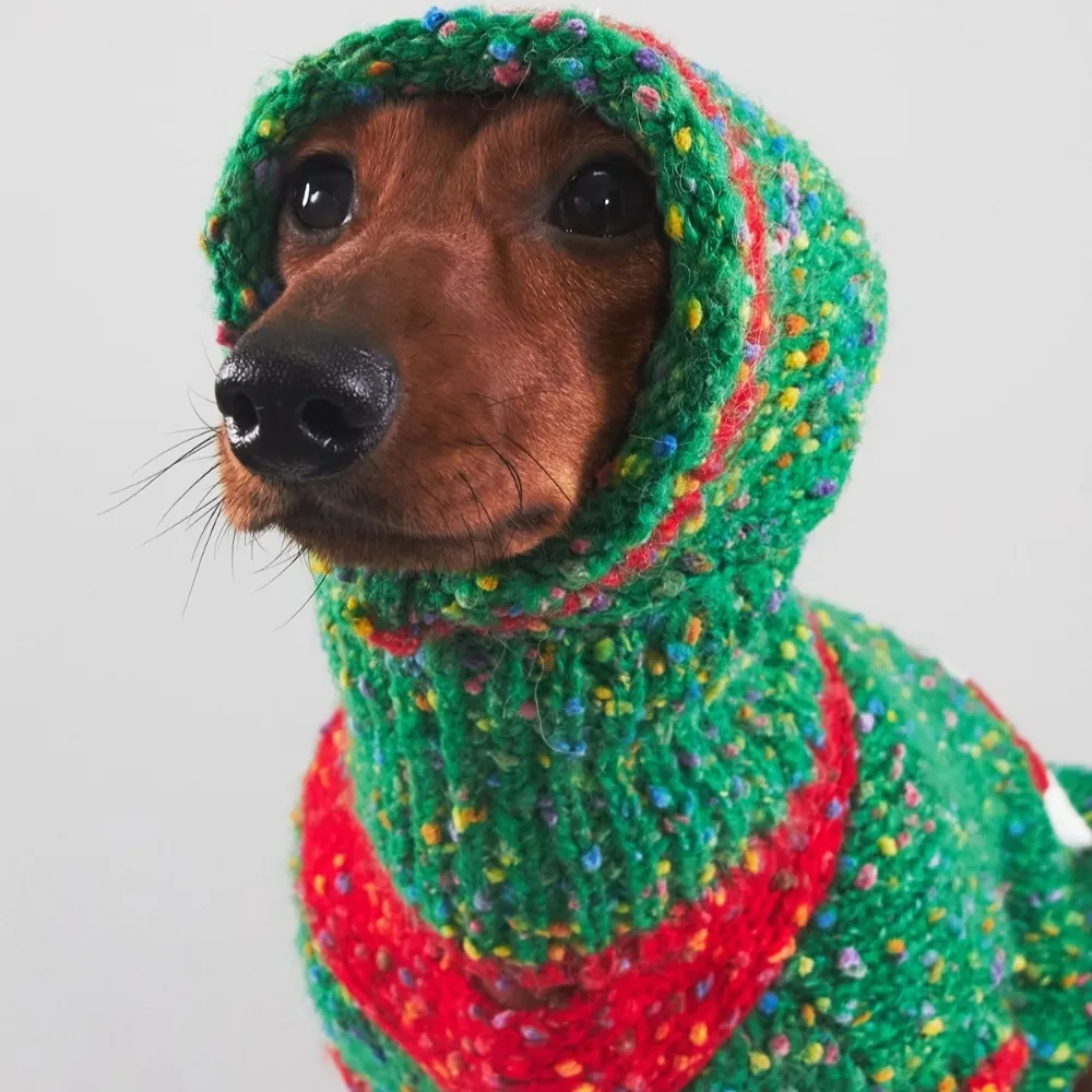 Christmas Pet Clothes For Autumn And Winter