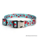 Blue Background Red Flowers