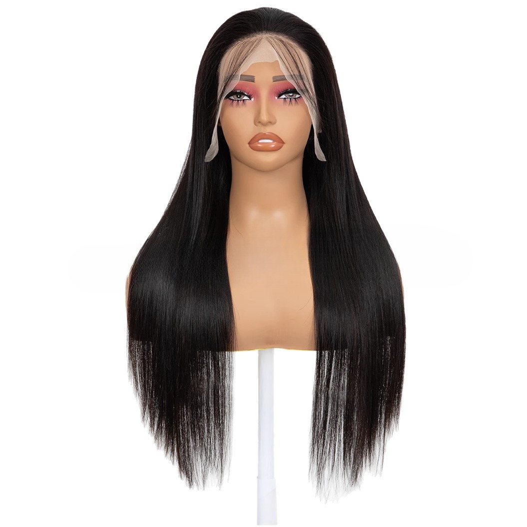 Lace Front Full Head Wigs Double Weft Long Straight Synthetic Hair Extensions 4