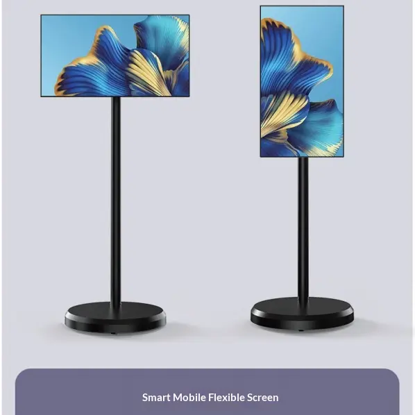21.5-Inch Portable Smart Touchscreen Display with Mobile Stand and Battery