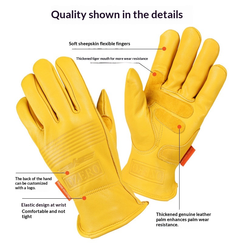 Climbing Riding And Motorcycle Gloves