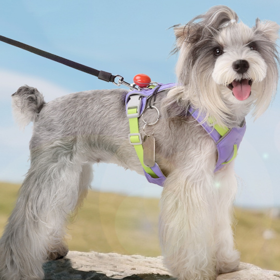 Multi-functional Waterproof Quick-drying Dog Harness