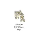 Creative 3D Twelve Zodiac Sign Nail Art Accessories view 6