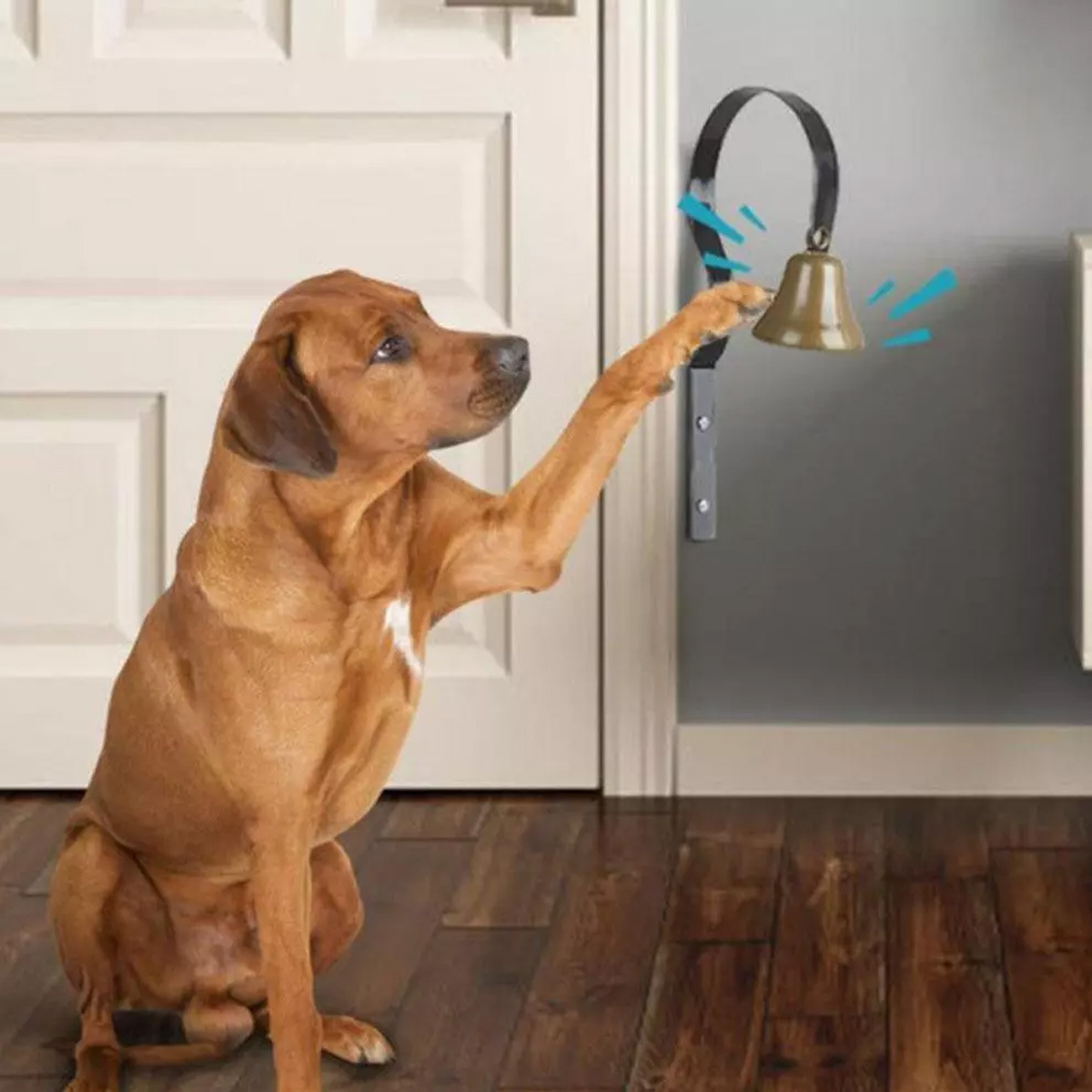 Traditional Doorbell For Old-fashioned Family-owned Shops