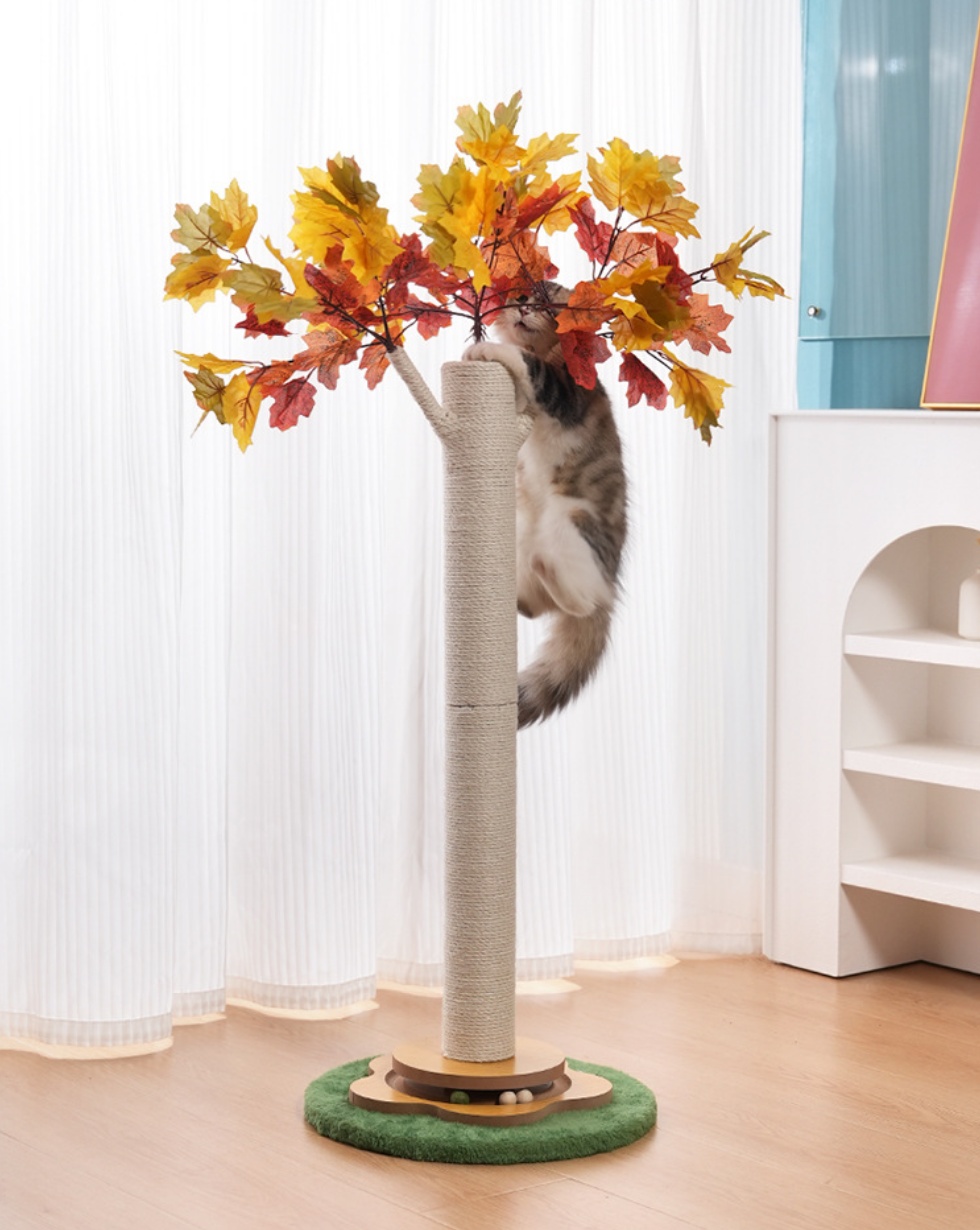 Cat Climbing Frame Grinds And Scratches Without Shedding Debris