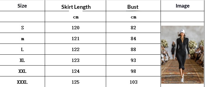 Women's Zip Front Slim Fit Pencil Dress – Front View