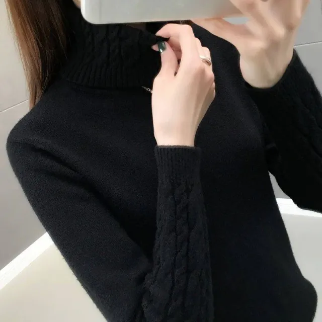 New AutumnWinter High Neck Pullover Sweater For Women From Europe And The US Black - Shop at LoveMi