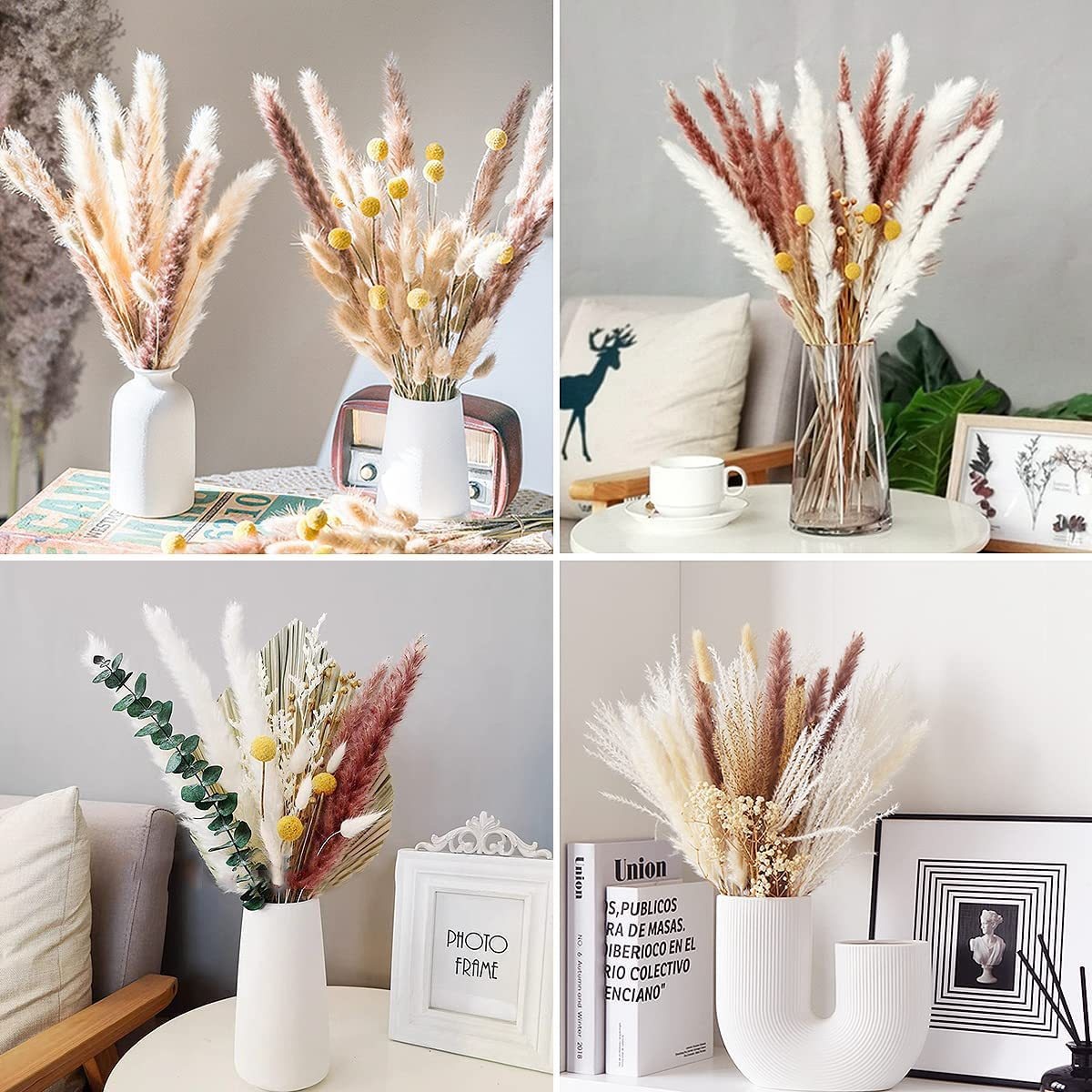 Pampas Grass, Small Reed, Rabbit Tail Grass, Dust Whisk, Small Pampas Grass