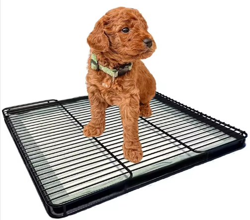 Dog Toilet To Prevent Stepping In Poop Pee And Poop Trays For Small