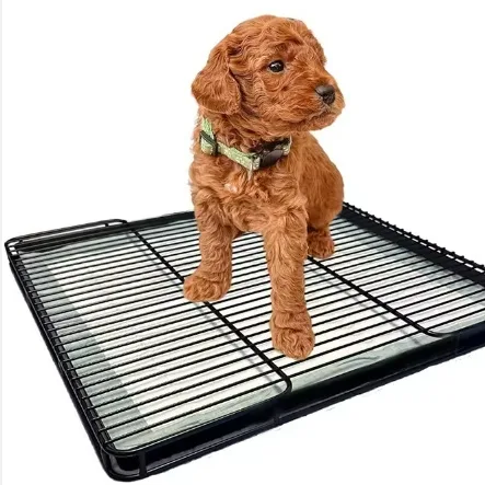 Dog Toilet to Prevent Stepping in Poop Pee