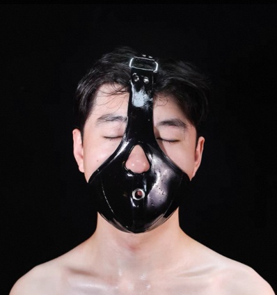 Erotic Enhanced Bridle-style Mouth Gag With Mask