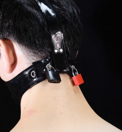 Erotic Enhanced Bridle-style Mouth Gag With Mask