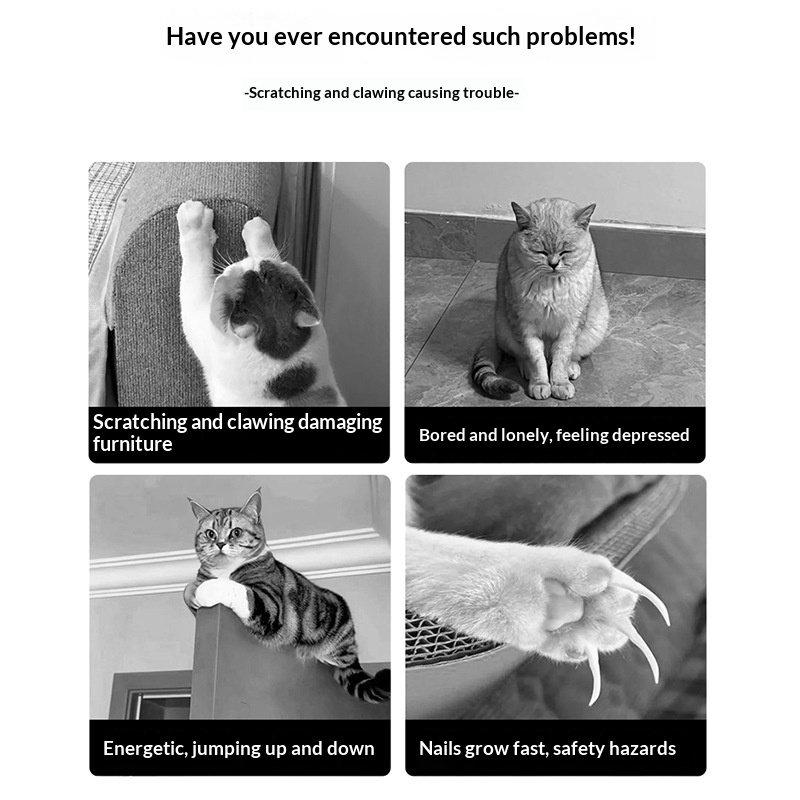 Multi-functional Corrugated Cardboard Scratching Post