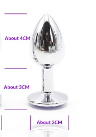 Stainless Steel Threaded Butt Plug Toy