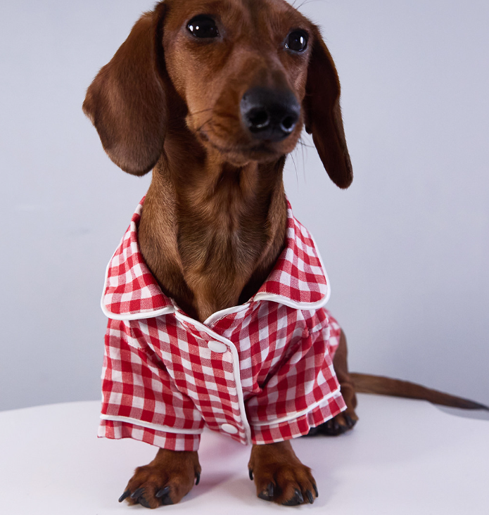 British Style Pajamas For Dogs And Cats