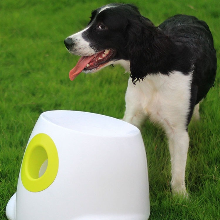 Dog Toy Tennis Ball Pet Ball-Throwing Automatic Launcher