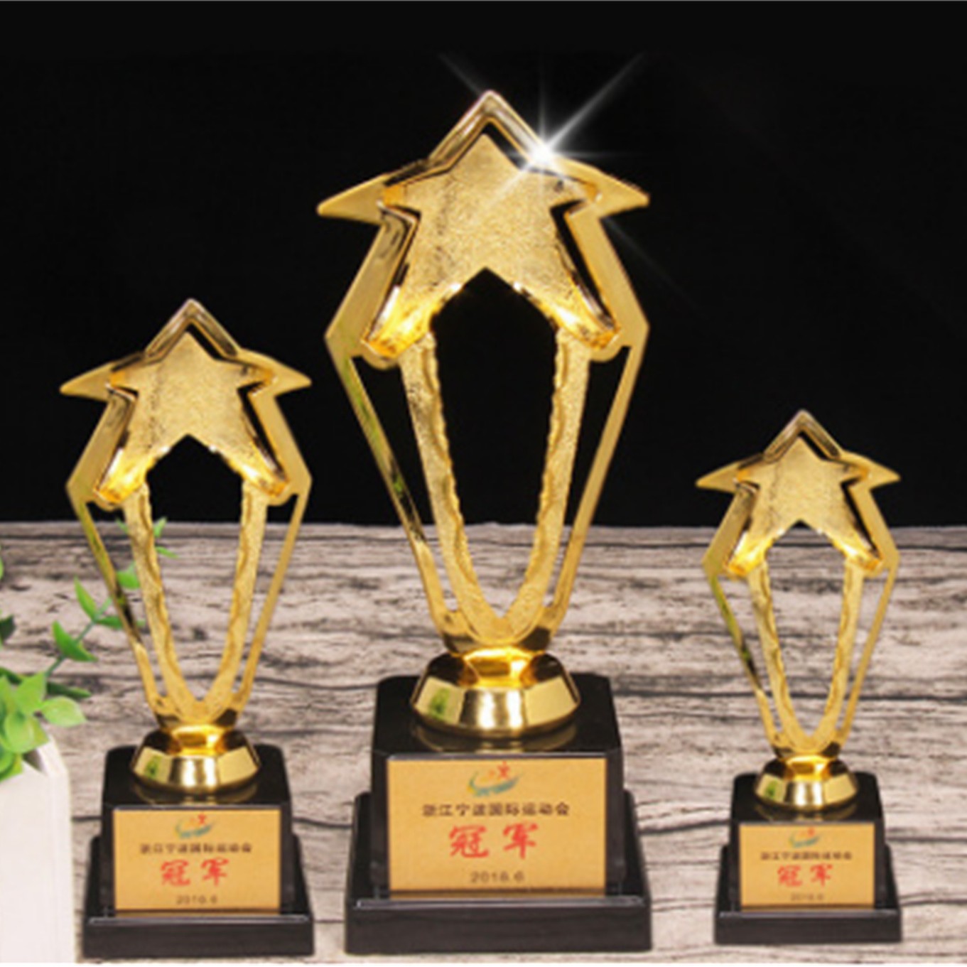 Plastic Trophy