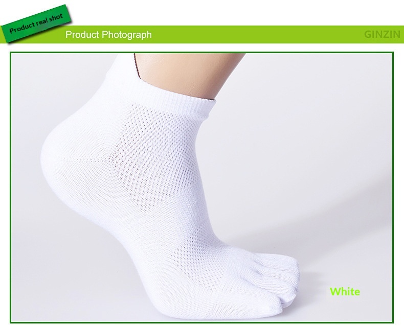 09ce0855 Bc93 41a3 8937 59546ae52606 Trans