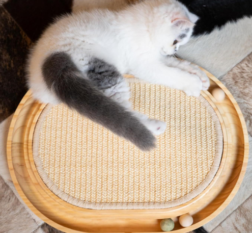 Solid Wood Cat Toy For Playful Pets