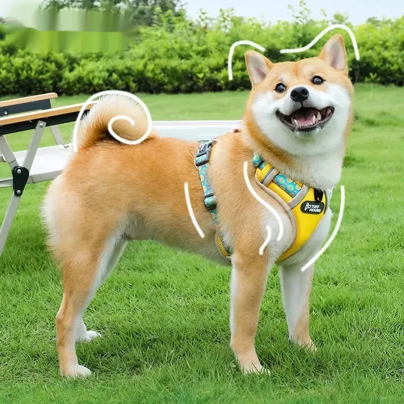 Pet Harness Vest-style Large Walking Leash Small to Medium