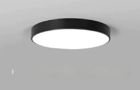 Modern minimalist ceiling light