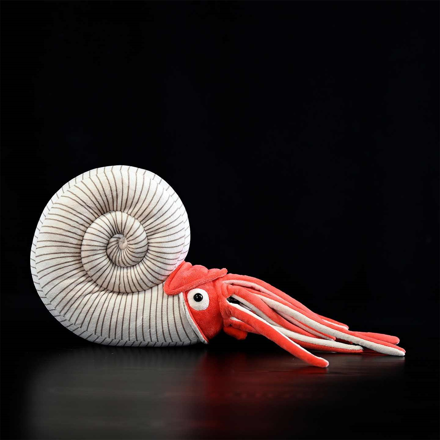 Paleontology Series Ammonite Plush Toys