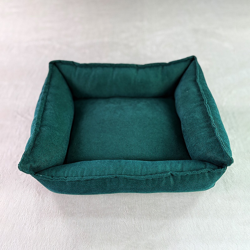 Solid Color Casual Non-slip All-season Dog Mat