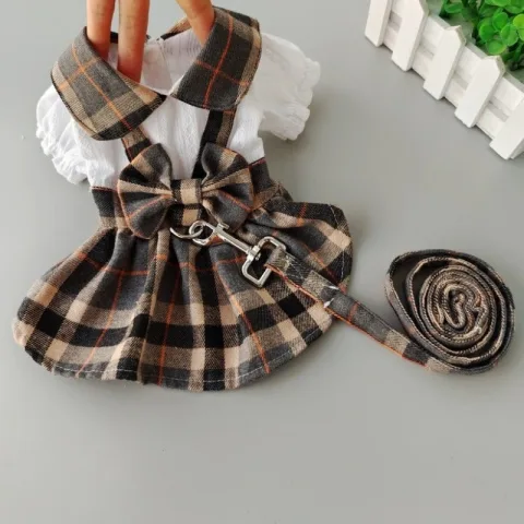 Dog Dresses for Outdoor Walks with a Leash