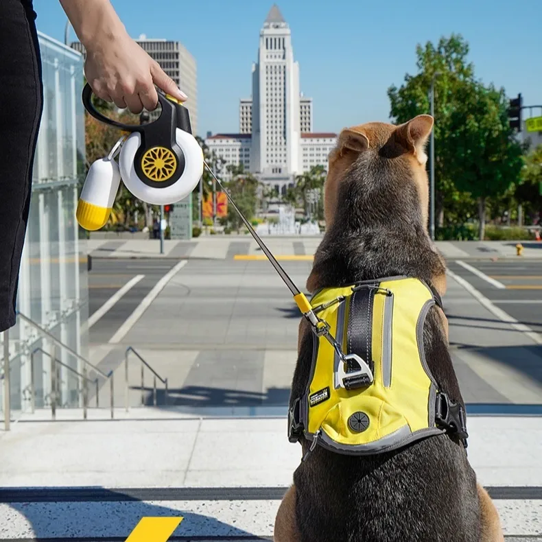 Dog Anti Pull Automatic Retractable Leash