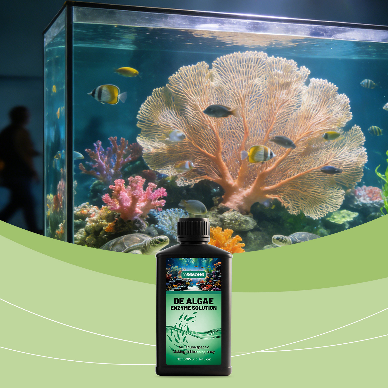 Algae Remover For Fish Tank