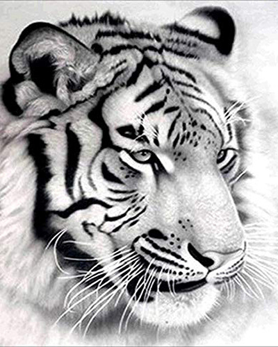 Full-Diamond Animal Tiger Handmade DIY Round- And Square-Drill Diamond Painting