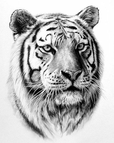 Full-Diamond Animal Tiger Handmade DIY Round- And Square-Drill Diamond Painting