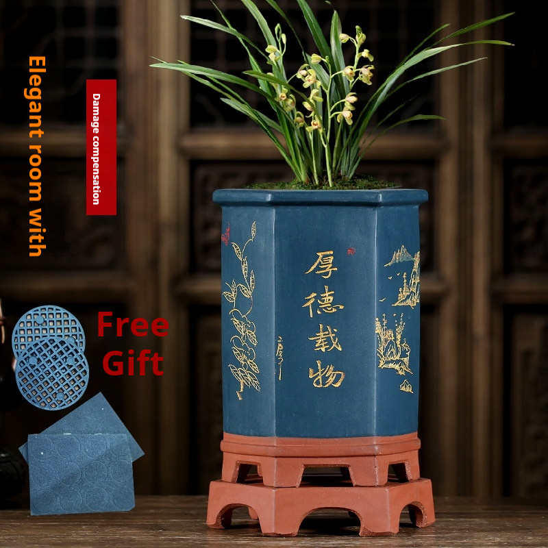 Special Pot For Purple Clay Orchids & Clivia Hexagonal Pot