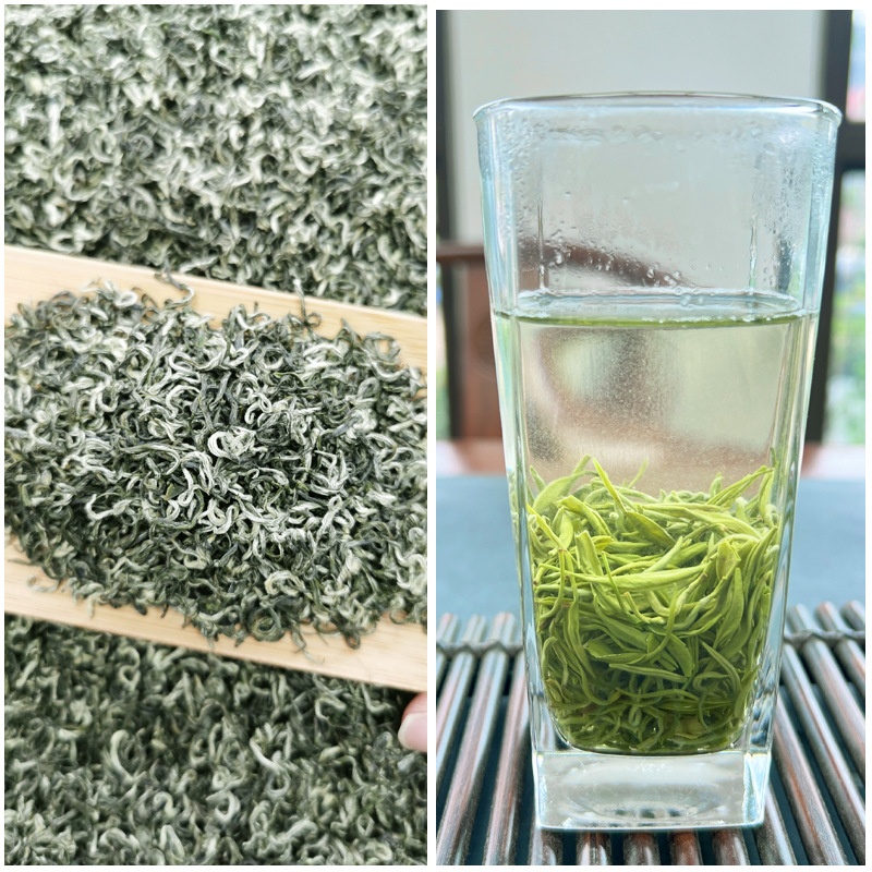 Misty Cloud Green Tea Mengdingshan Maofeng Fragrant