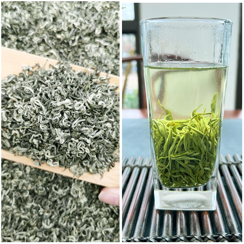 Misty Cloud Green Tea Mengdingshan Maofeng Fragrant