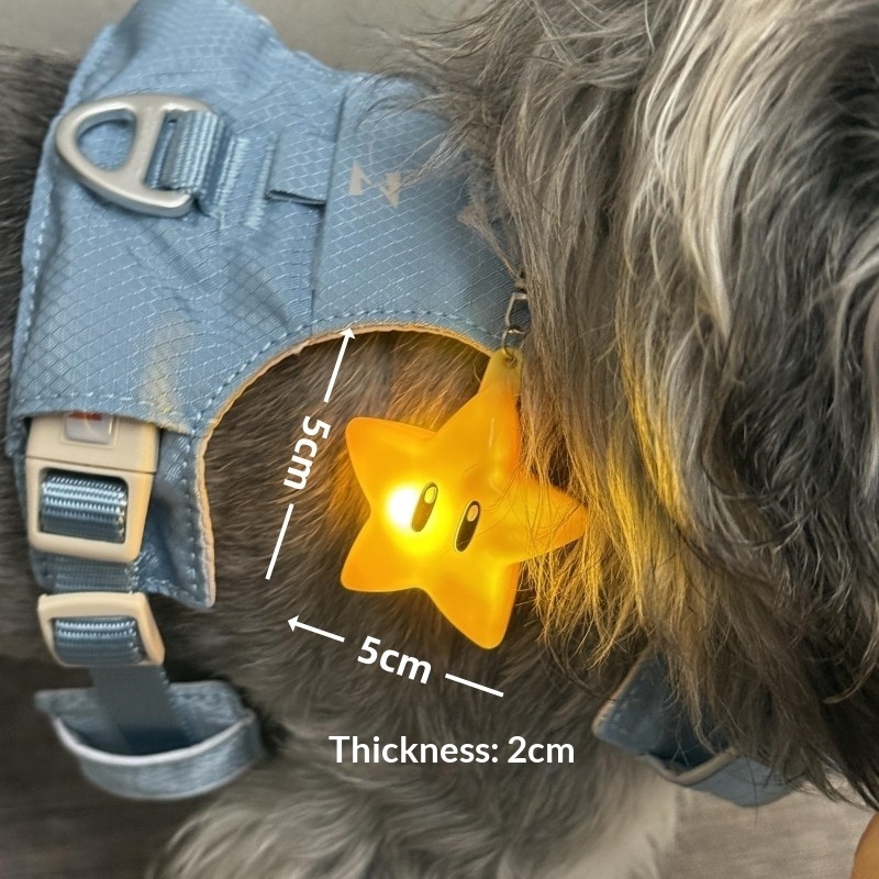 Nighttime Dog-Walking Pendant Light A Tiny Anti-Lost Accessory For Your Furry Friend