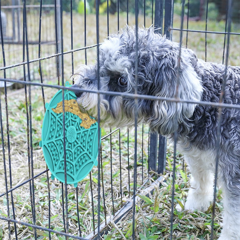 New Multi-functional Suction-cup Feeder