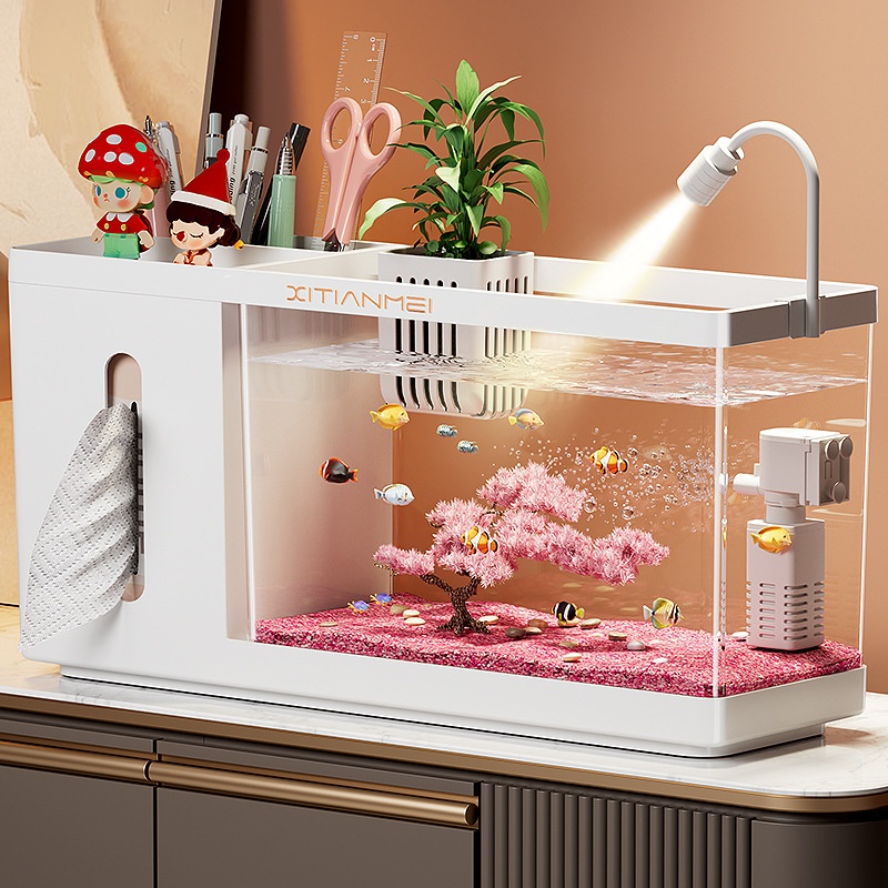 Complete Small-scale Landscaping Ecosystem Aquarium Set