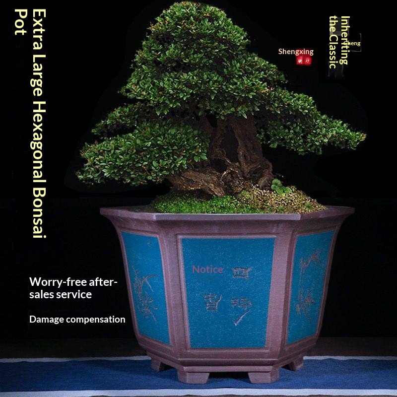 Premium Yixing Zisha Flower Pot Extra Large Handcrafted Hexagonal Planter