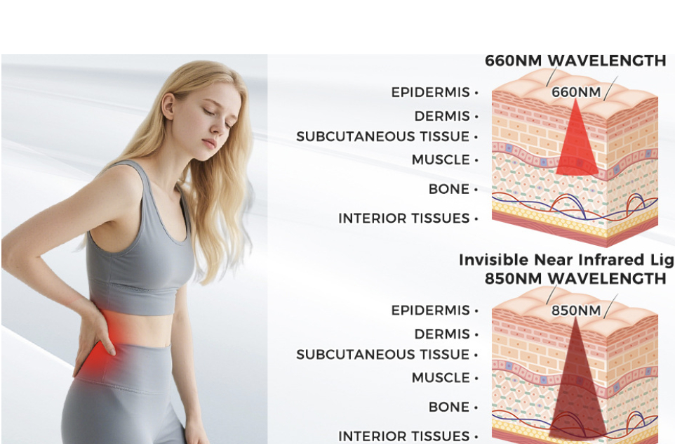 Household Red Light Dual-Wavelength Infrared Full-Body Therapy Mat