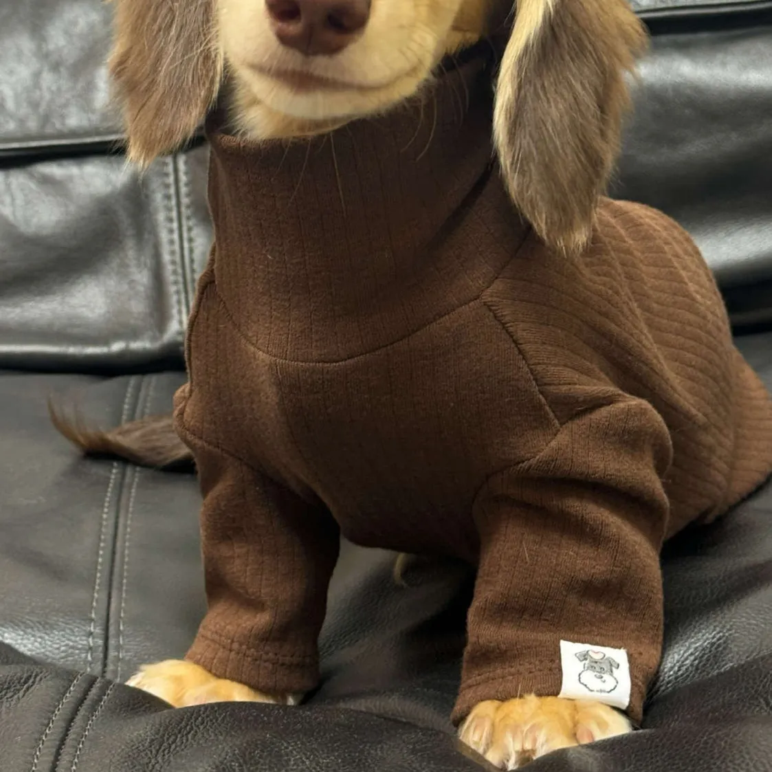Pet Clothing Autumnwinter High-neck Base Vest