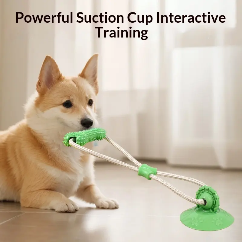 Suction-cup Pull-rope Teething Toy