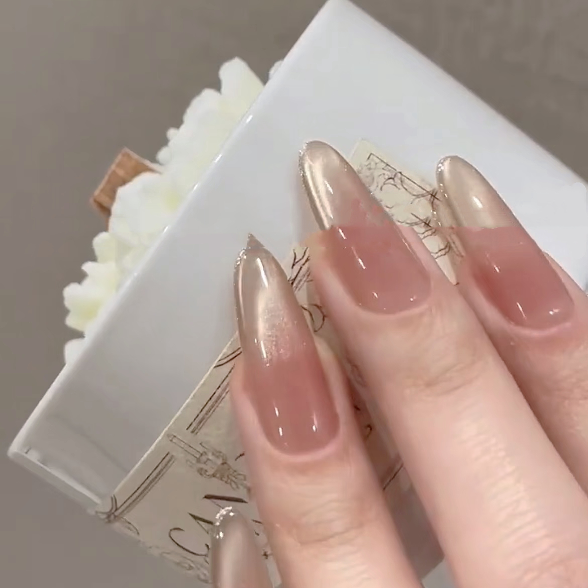 Advanced Nude Cat's Eye Nails