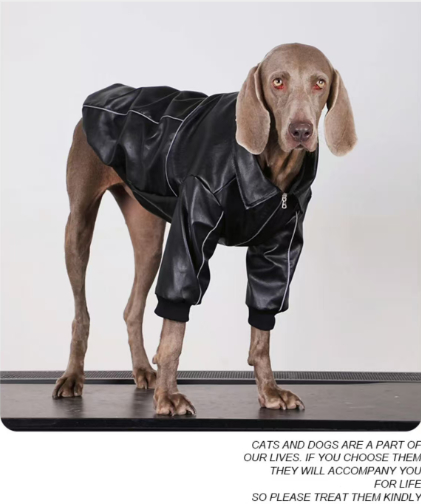 Dog Clothes For Medium To Large Breeds Autumn Black Leather Jacket For Labradors, Golden Retrievers, And Samoyeds