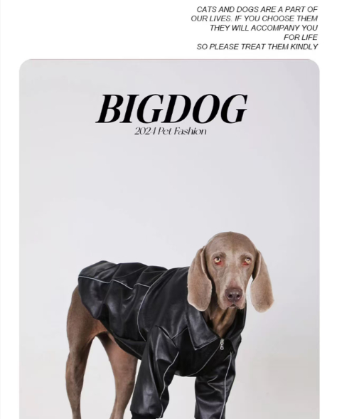 Dog Clothes For Medium To Large Breeds Autumn Black Leather Jacket For Labradors, Golden Retrievers, And Samoyeds