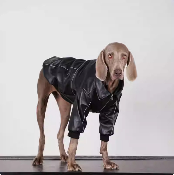 Dog Clothes For Medium To Large Breeds Autumn Black Leather Jacket For Labradors, Golden Retrievers, And Samoyeds