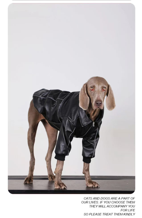 Dog Clothes For Medium To Large Breeds Autumn Black Leather Jacket For Labradors, Golden Retrievers, And Samoyeds