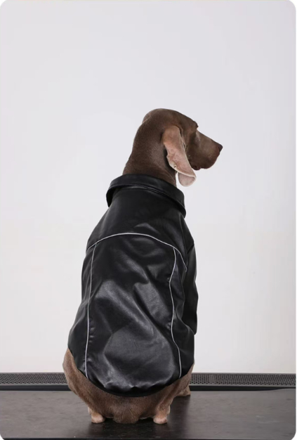 Dog Clothes For Medium To Large Breeds Autumn Black Leather Jacket For Labradors, Golden Retrievers, And Samoyeds