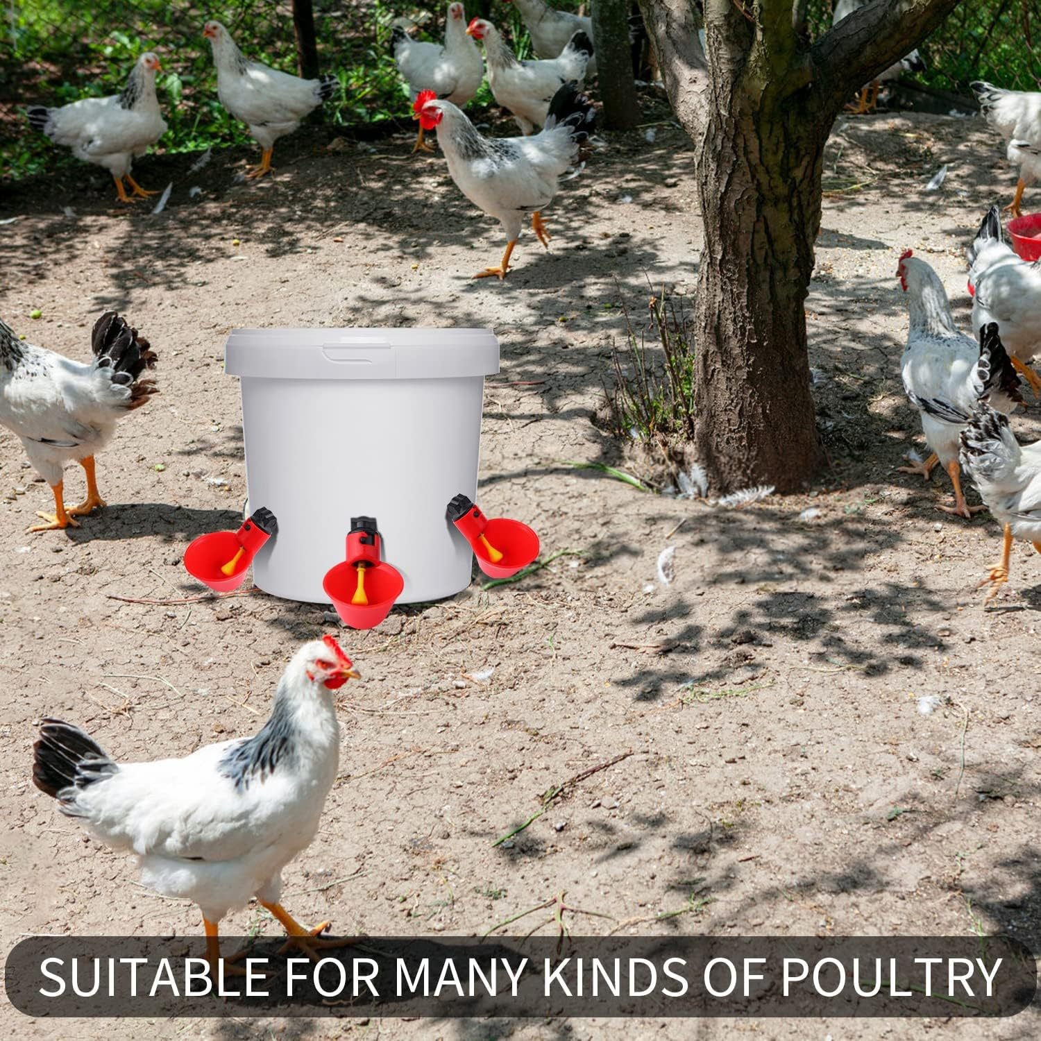Chicken Water Bowl Poultry Automatic Drinking Bowl Chicken, Duck, And Goose Drinking Cup